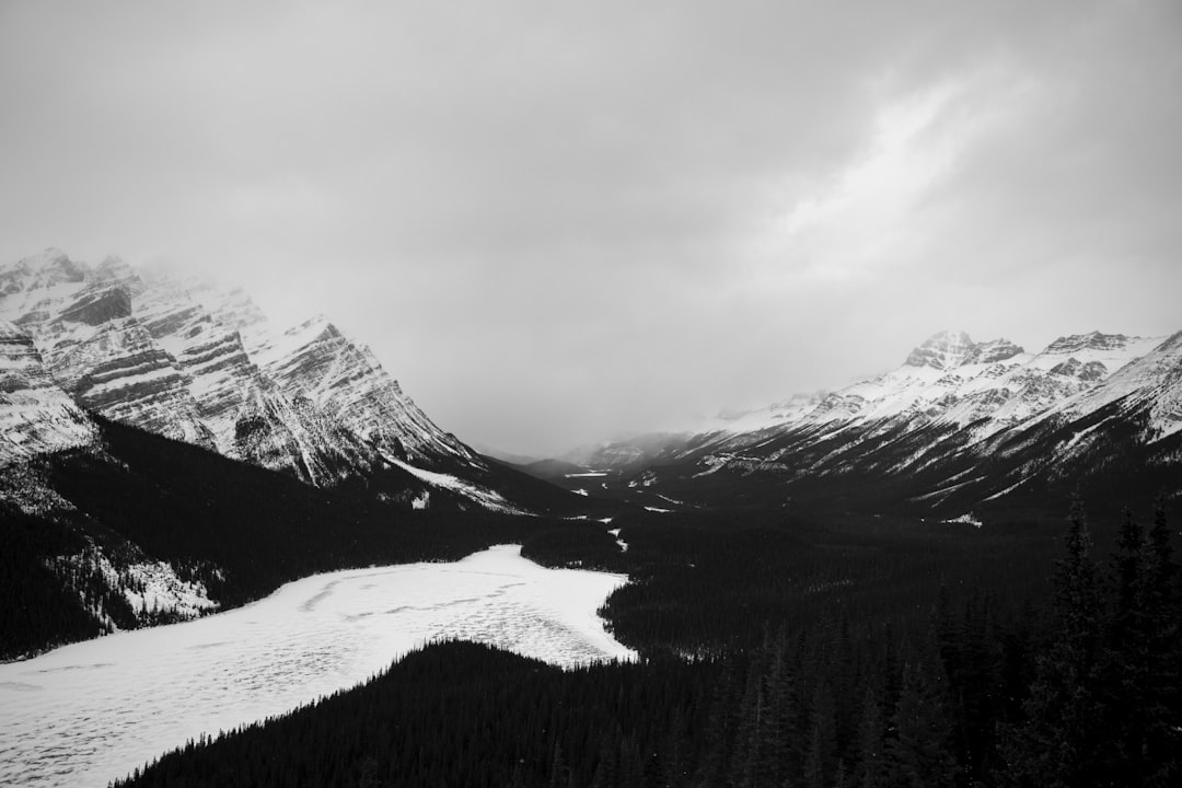 Optymalizacja ruchu AI: Klucz do efektywności.